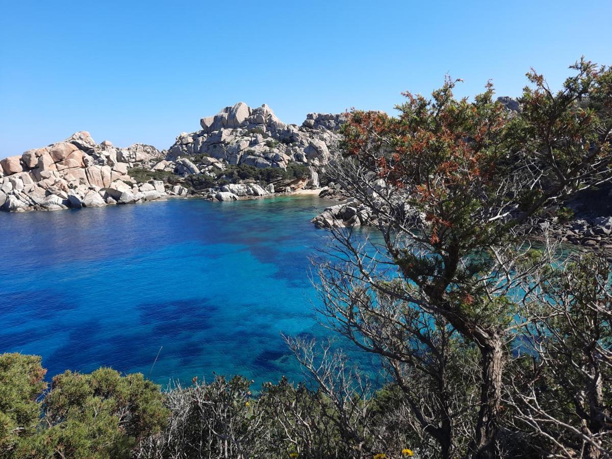 La Residenza Del Porto Appartement Santa Teresa Gallura Buitenkant foto